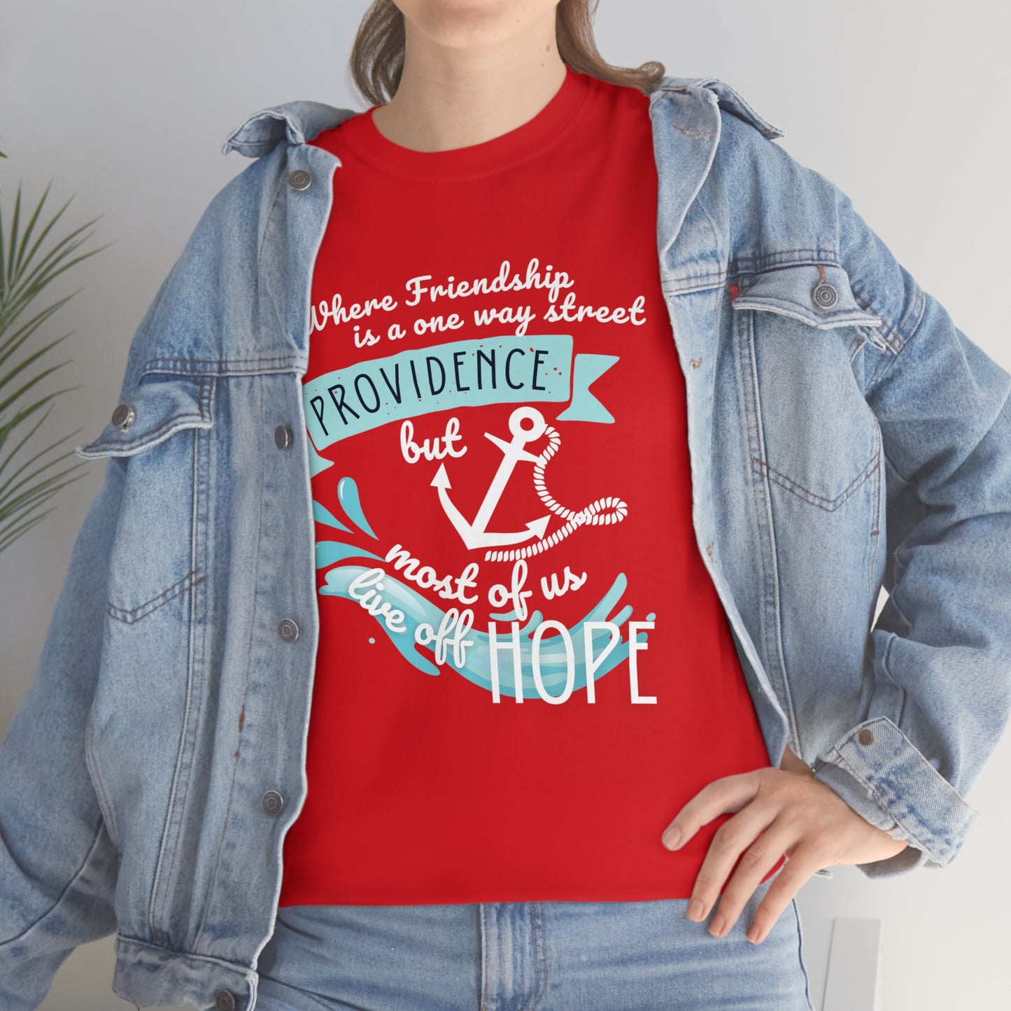 Funny Providence Street T-shirt